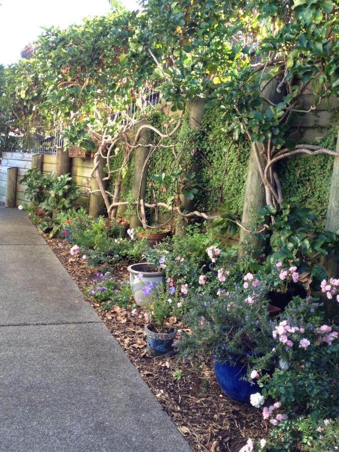 Absolute Waterfront Serenity Near Auckland Clarks Beach Exterior foto